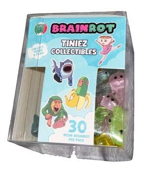 Italian Brainrot Mini Resin Tiny figures DUCKS Hide Trade 30 piece by Toikido